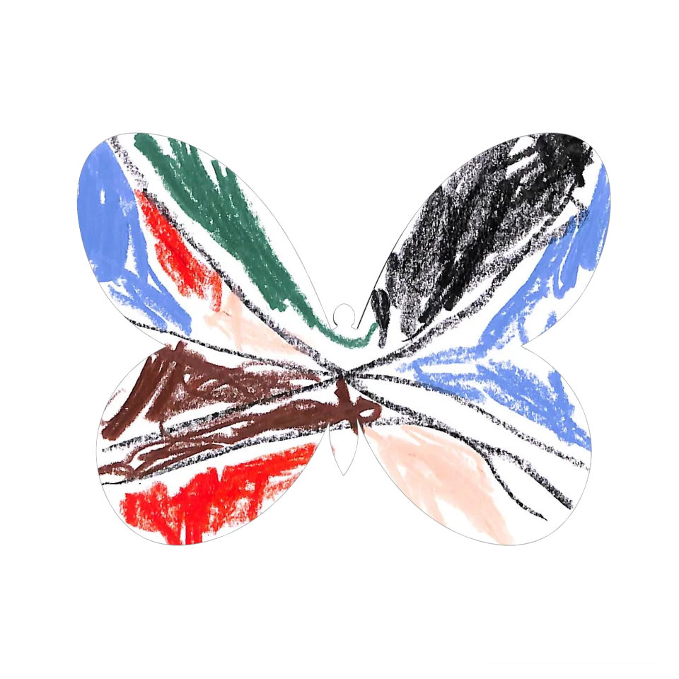 Original Butterfly Image