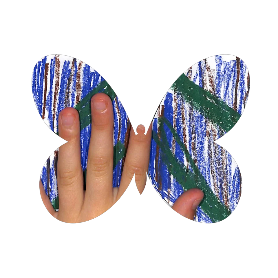 Original Butterfly Image