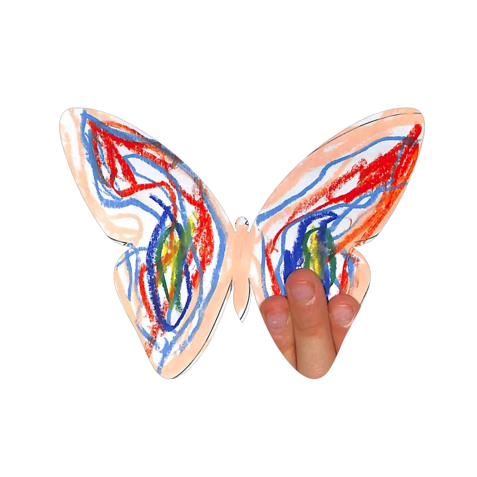 Original Butterfly Image
