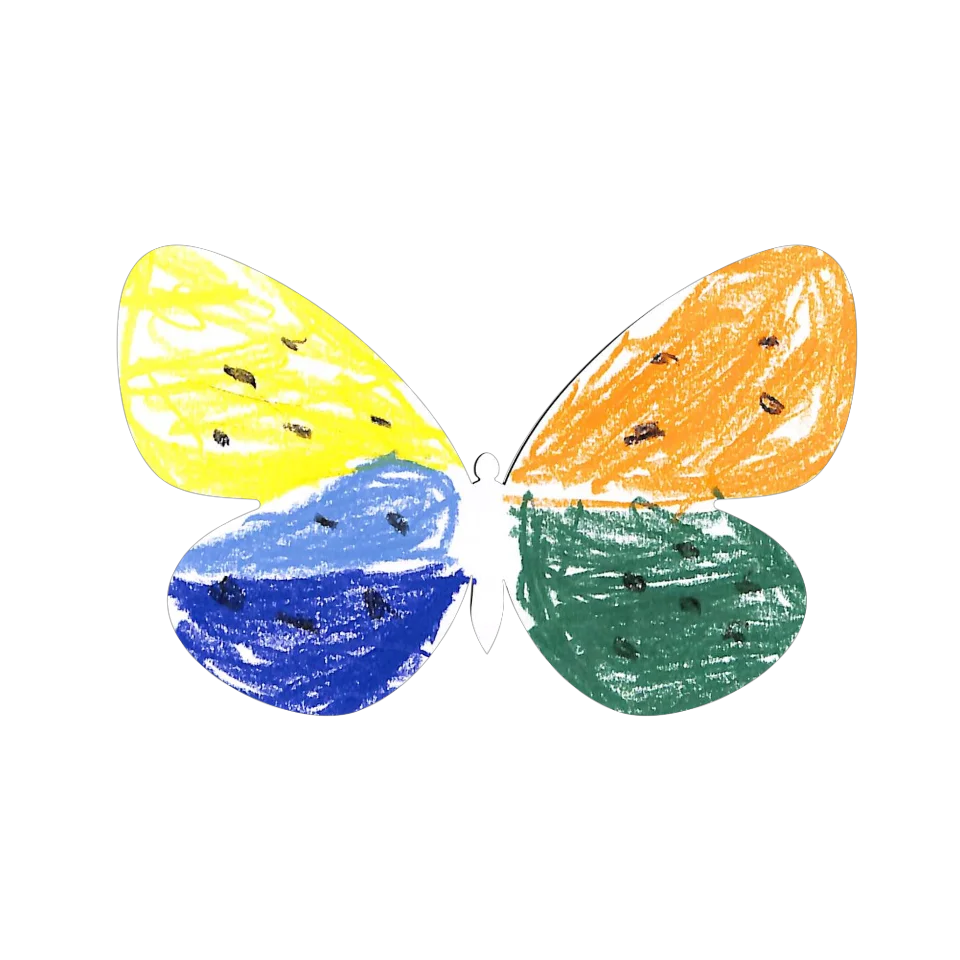 Original Butterfly Image