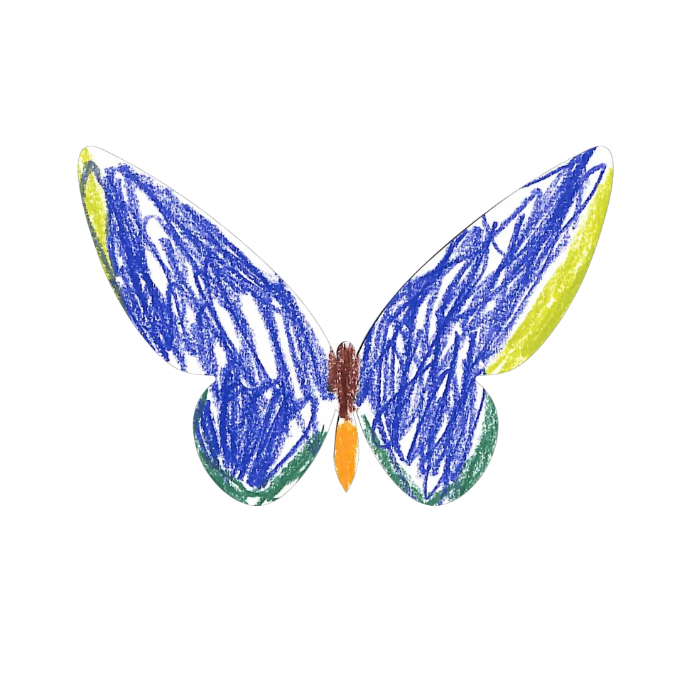 Original Butterfly Image