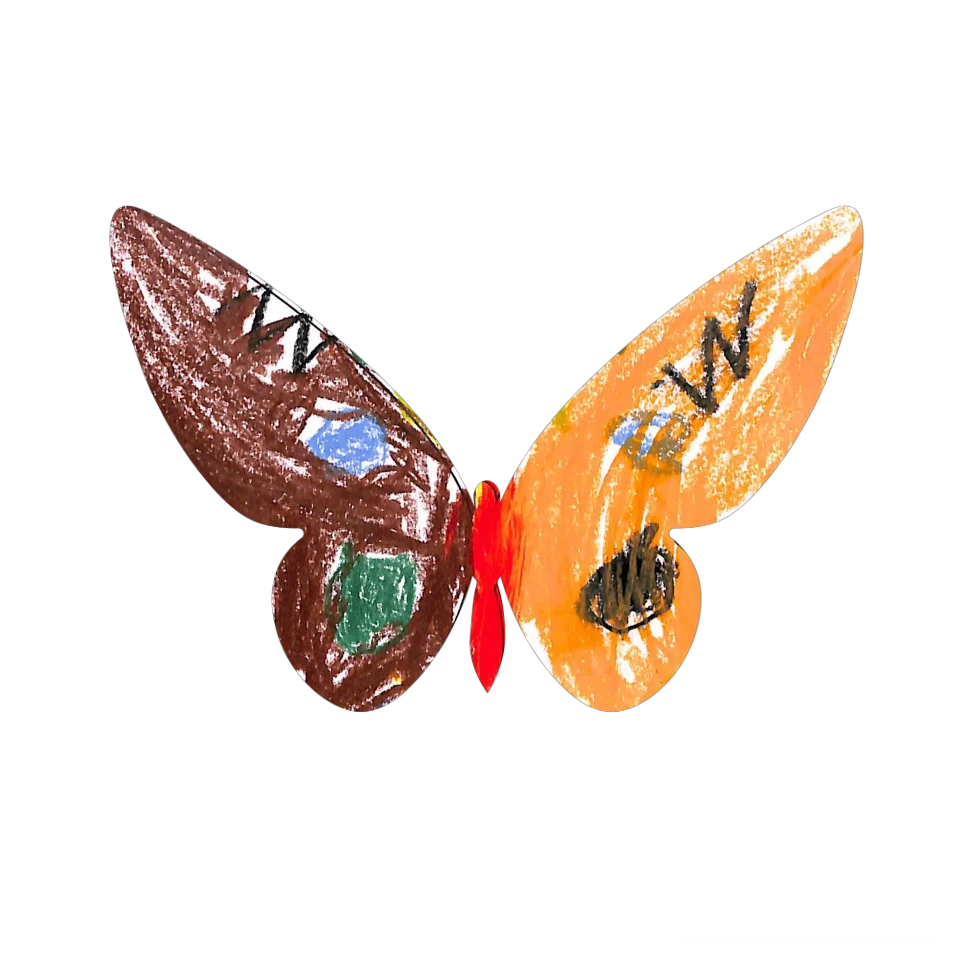 Original Butterfly Image