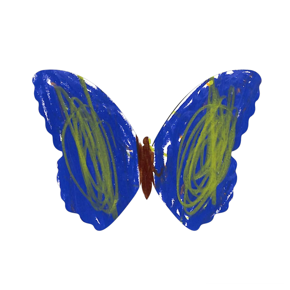 Original Butterfly Image
