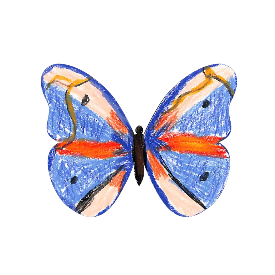 Original Butterfly Image