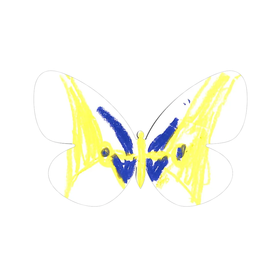 Original Butterfly Image