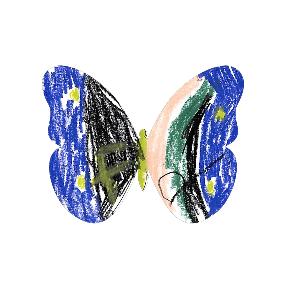 Original Butterfly Image