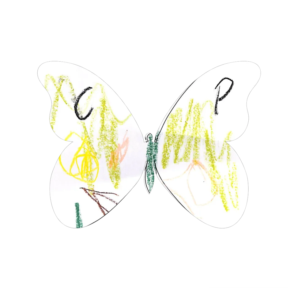 Original Butterfly Image
