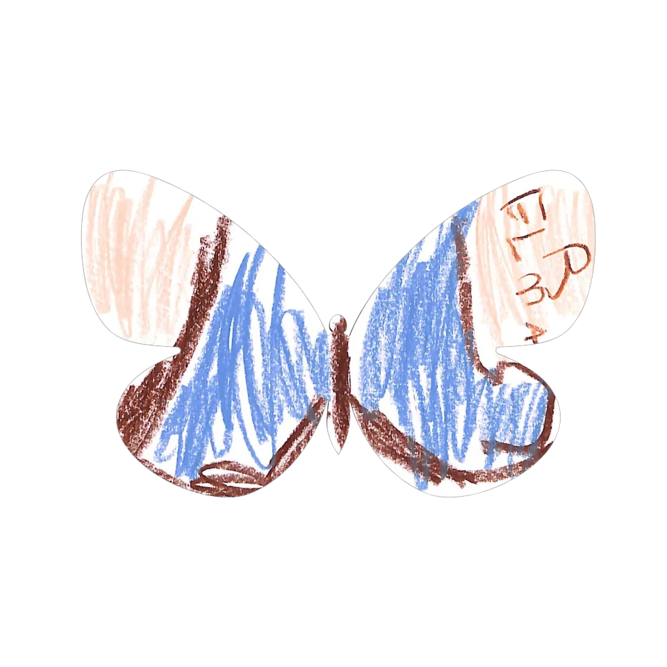Original Butterfly Image