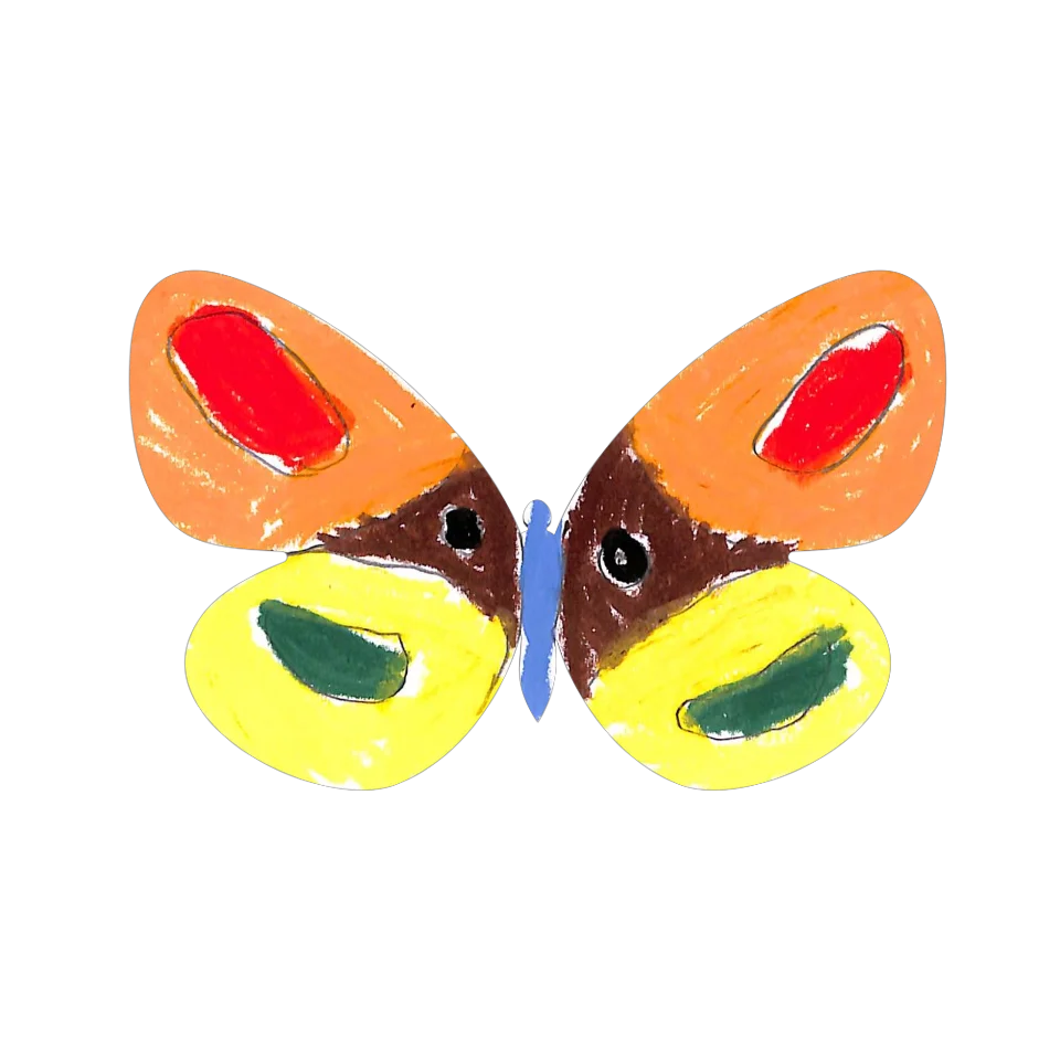 Original Butterfly Image