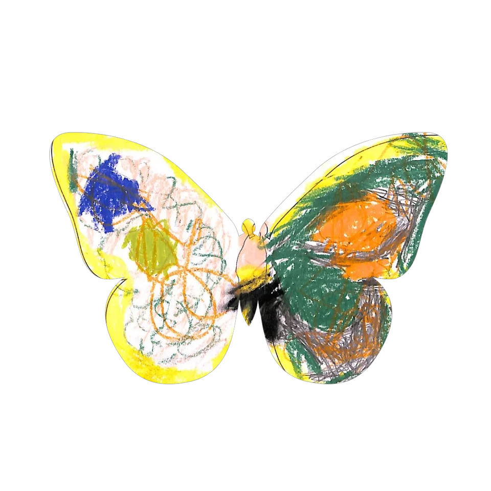 Original Butterfly Image