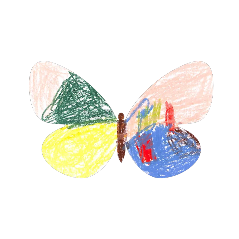 Original Butterfly Image