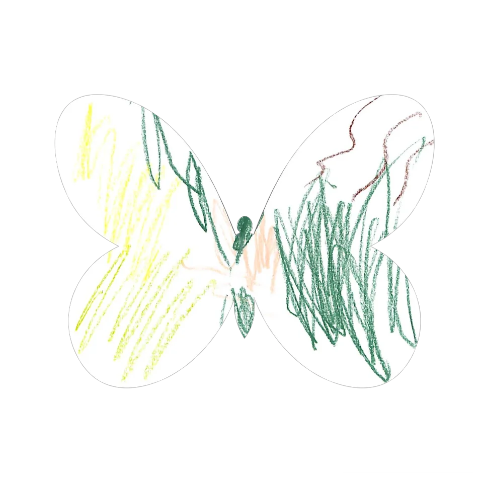 Original Butterfly Image