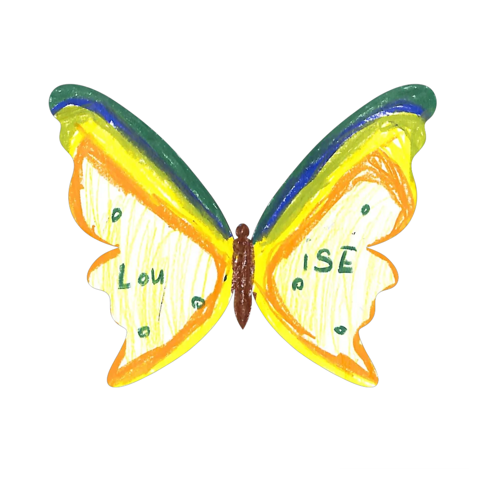 Original Butterfly Image