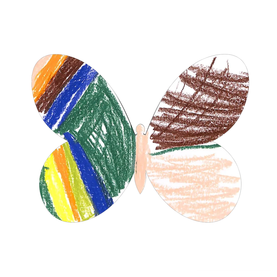 Original Butterfly Image