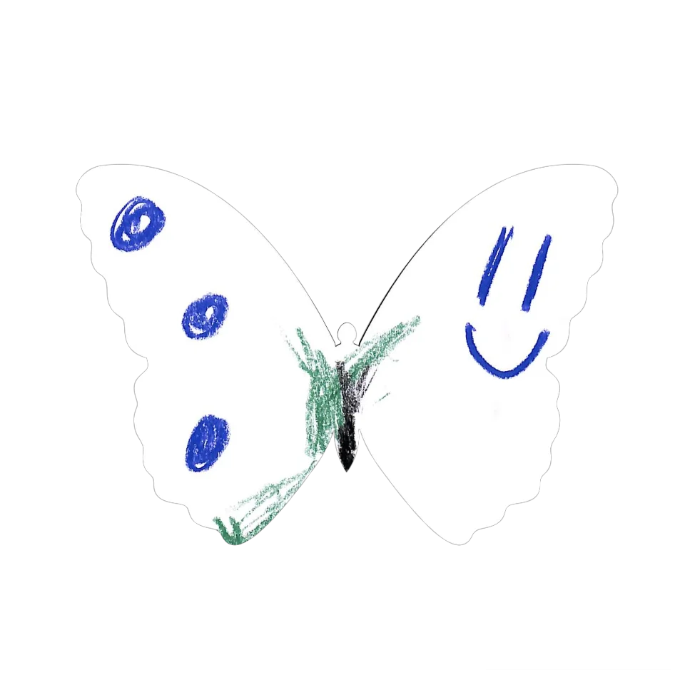 Original Butterfly Image