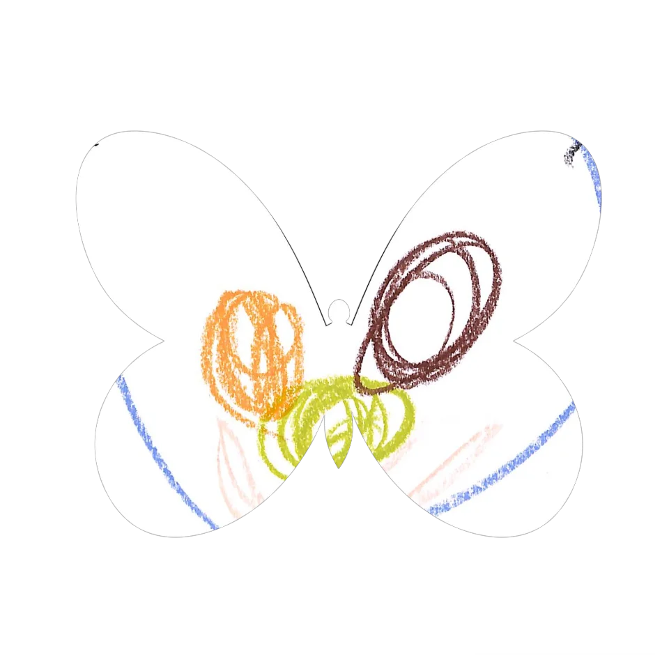 Original Butterfly Image