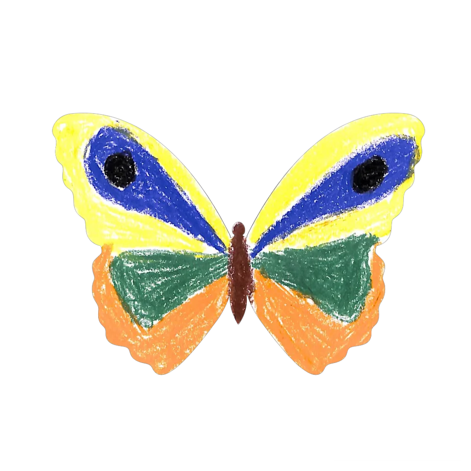 Original Butterfly Image