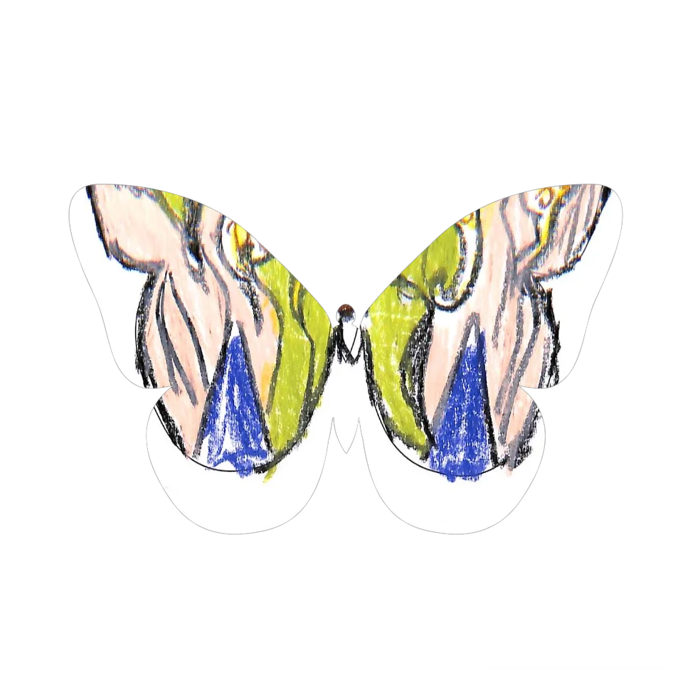 Original Butterfly Image