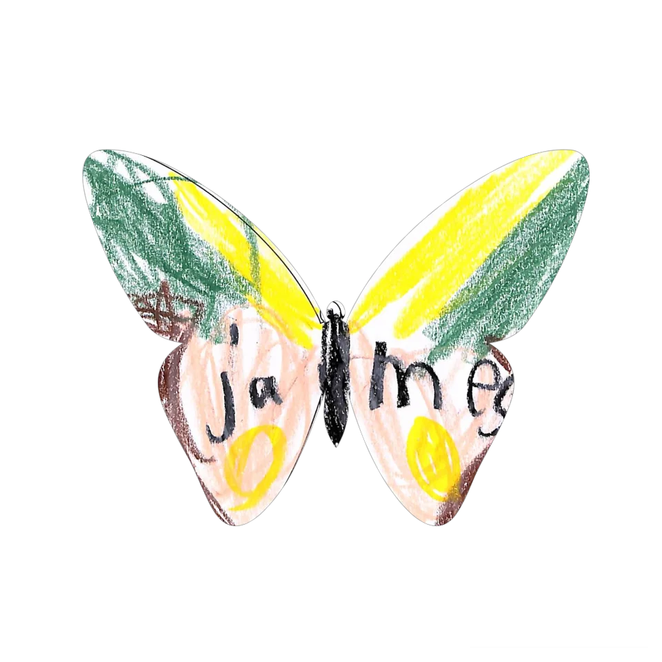 Original Butterfly Image