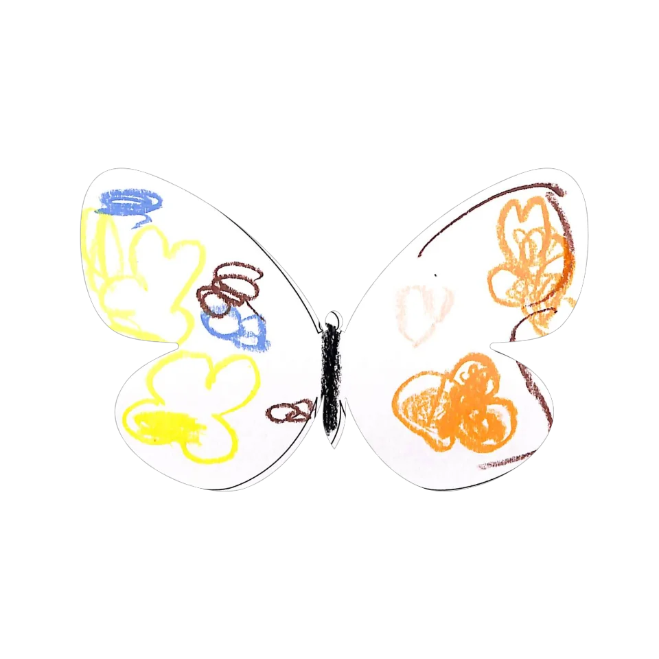 Original Butterfly Image