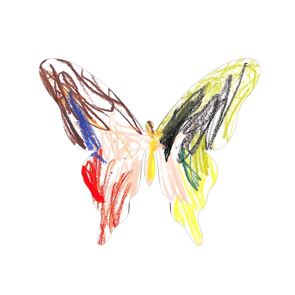 Original Butterfly Image