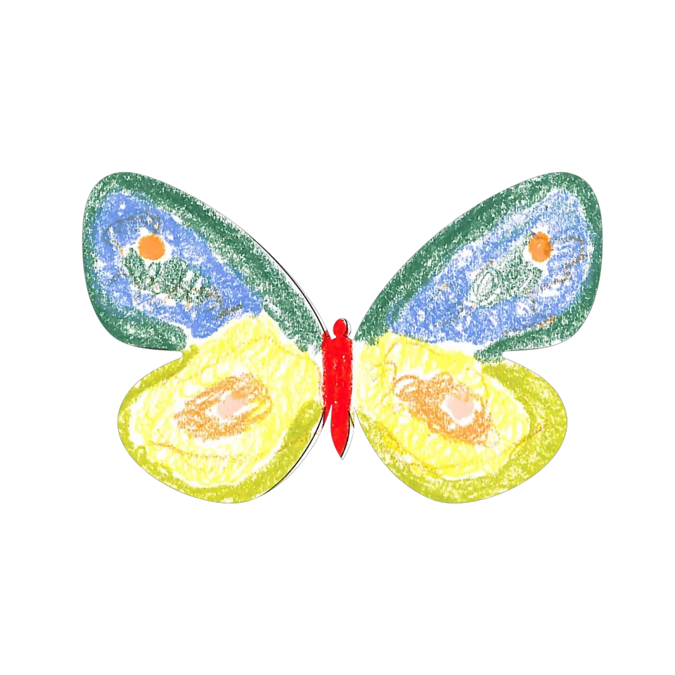 Original Butterfly Image