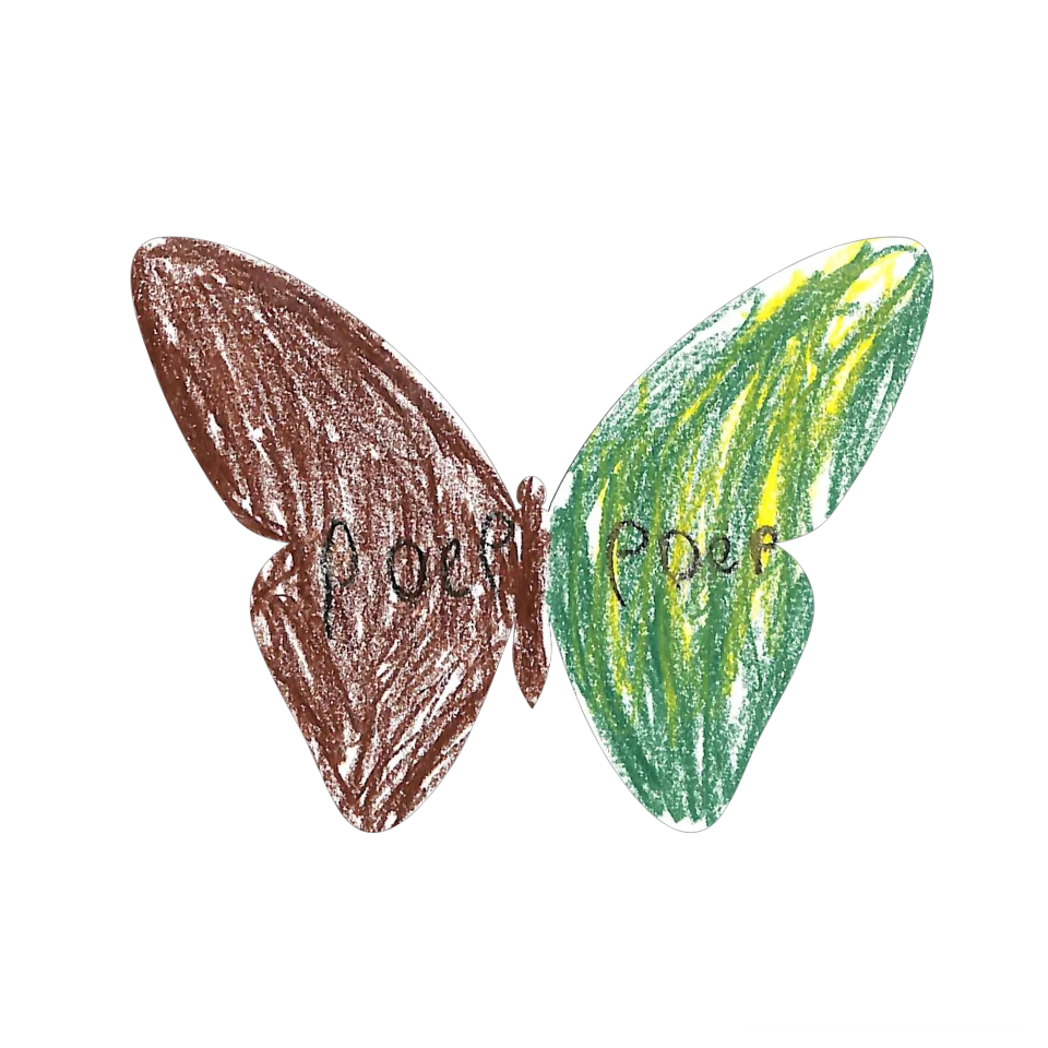 Original Butterfly Image