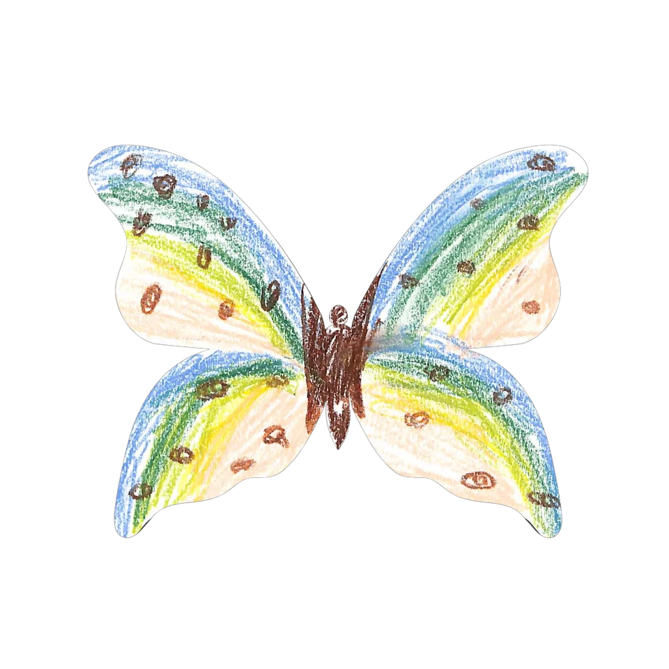 Original Butterfly Image