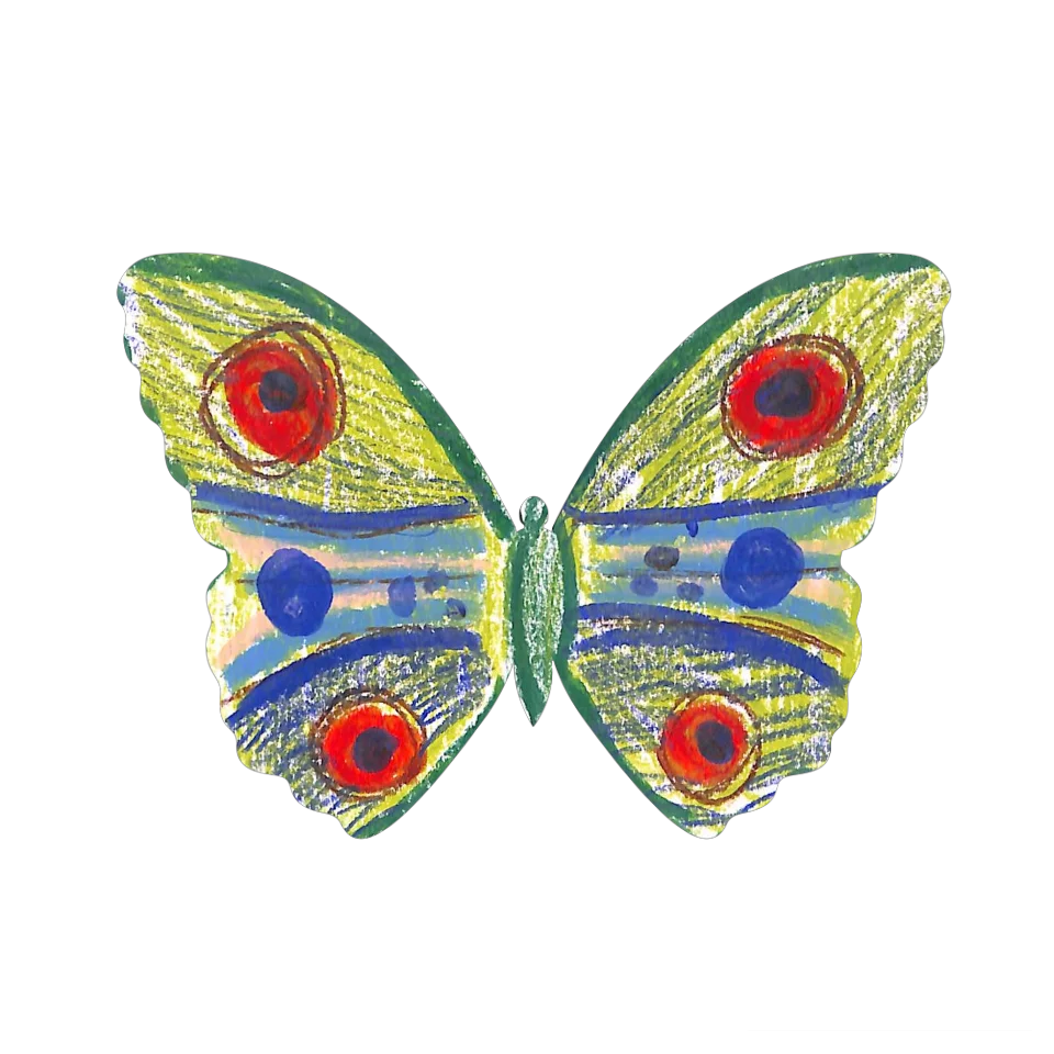 Original Butterfly Image