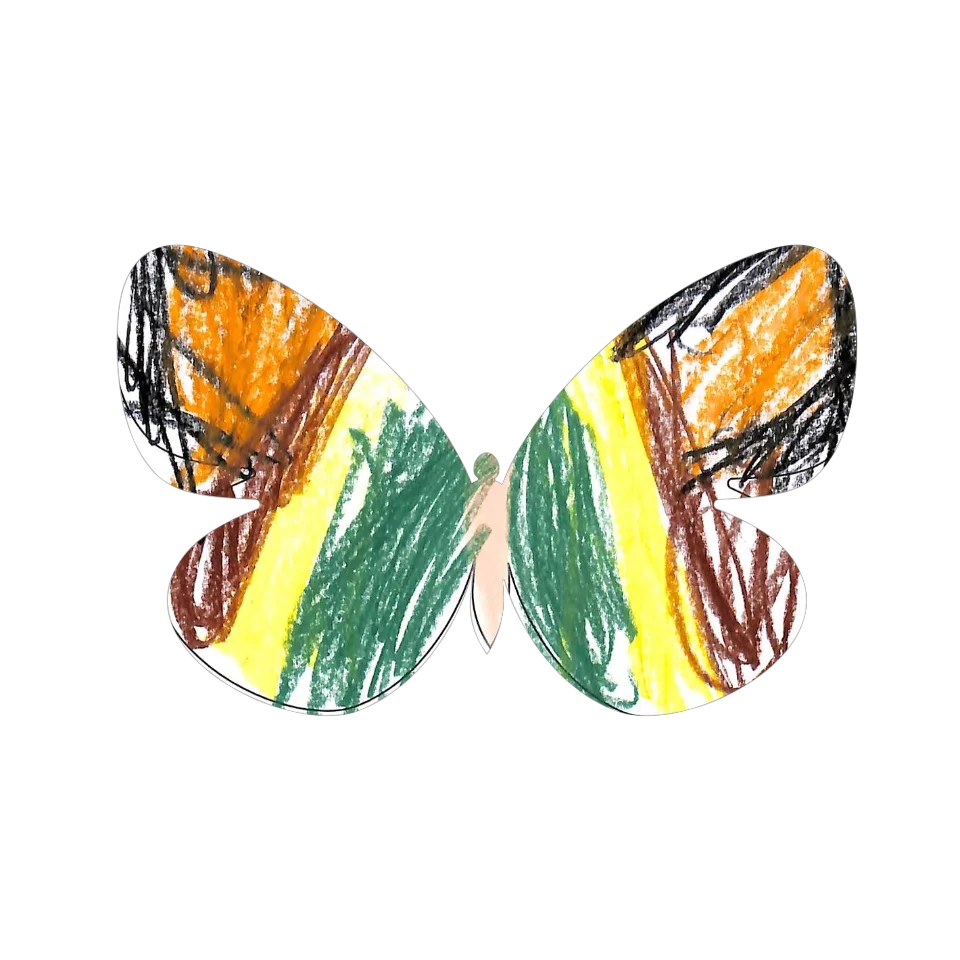 Original Butterfly Image