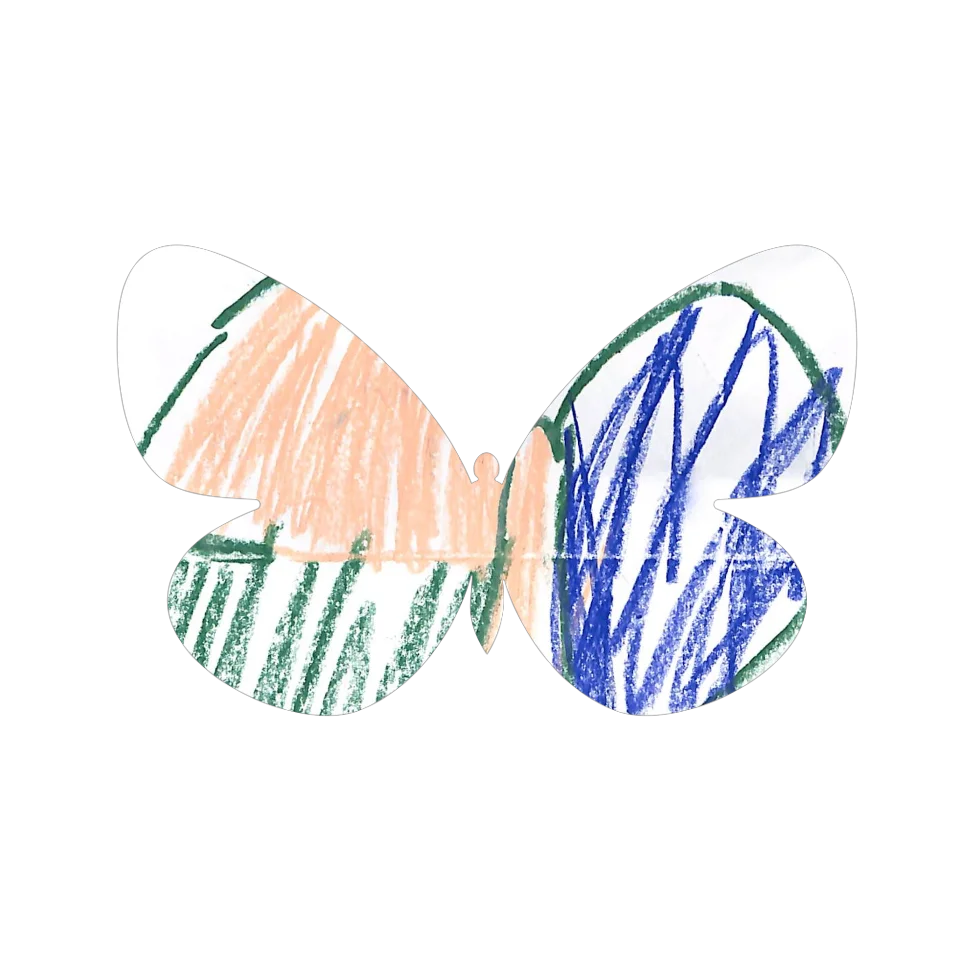 Original Butterfly Image