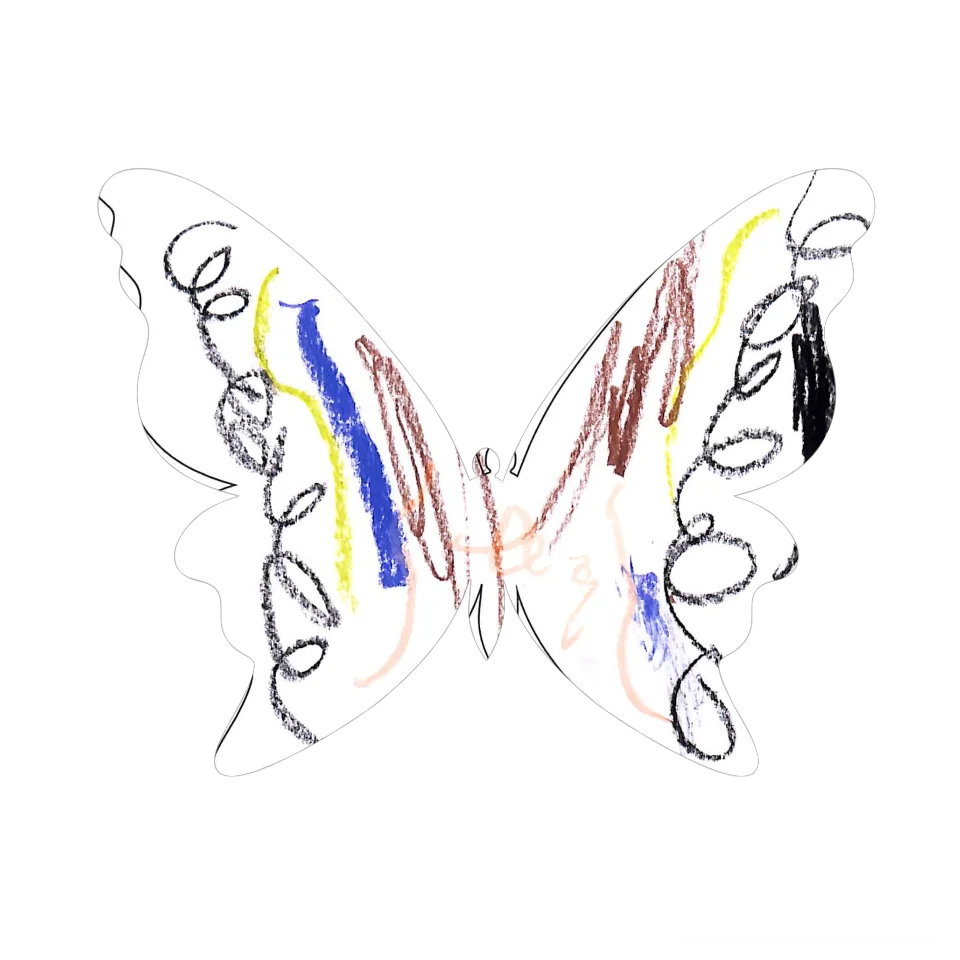 Original Butterfly Image