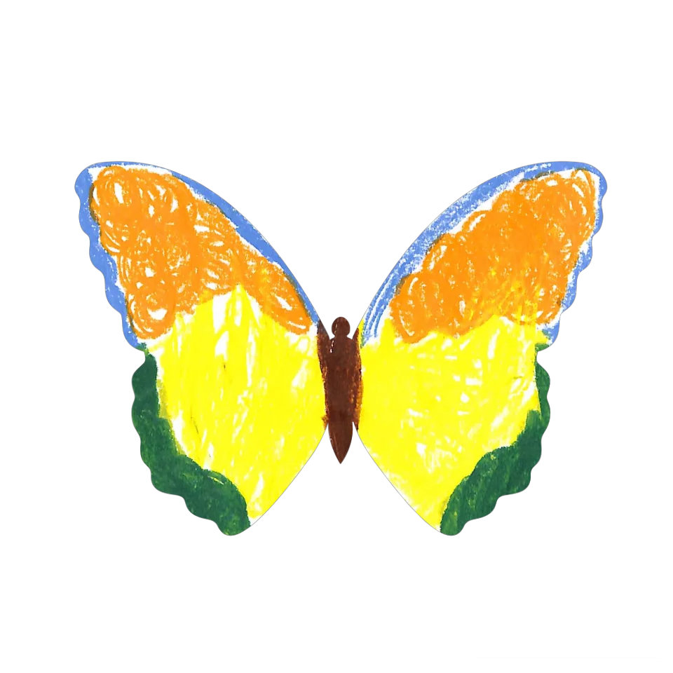 Original Butterfly Image