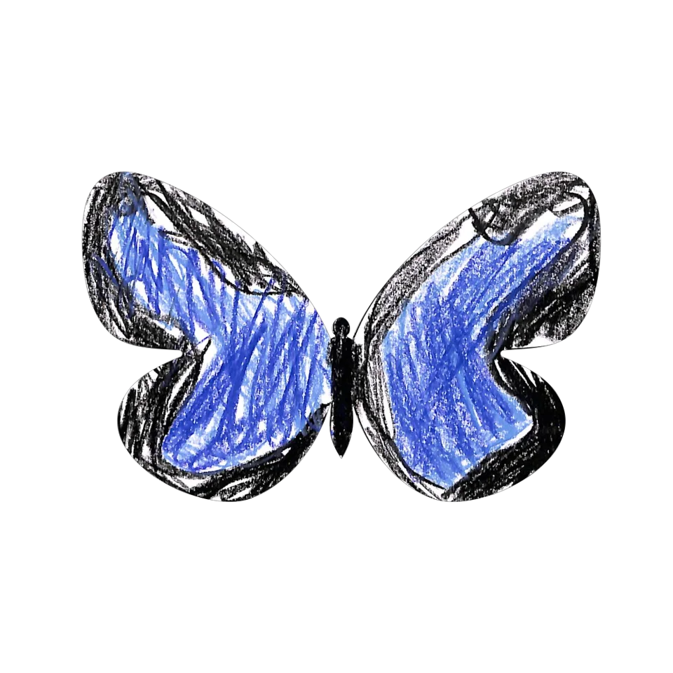 Original Butterfly Image