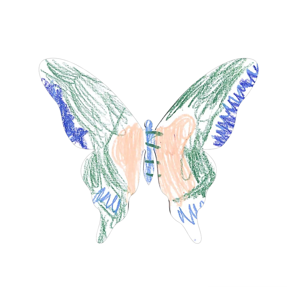 Original Butterfly Image