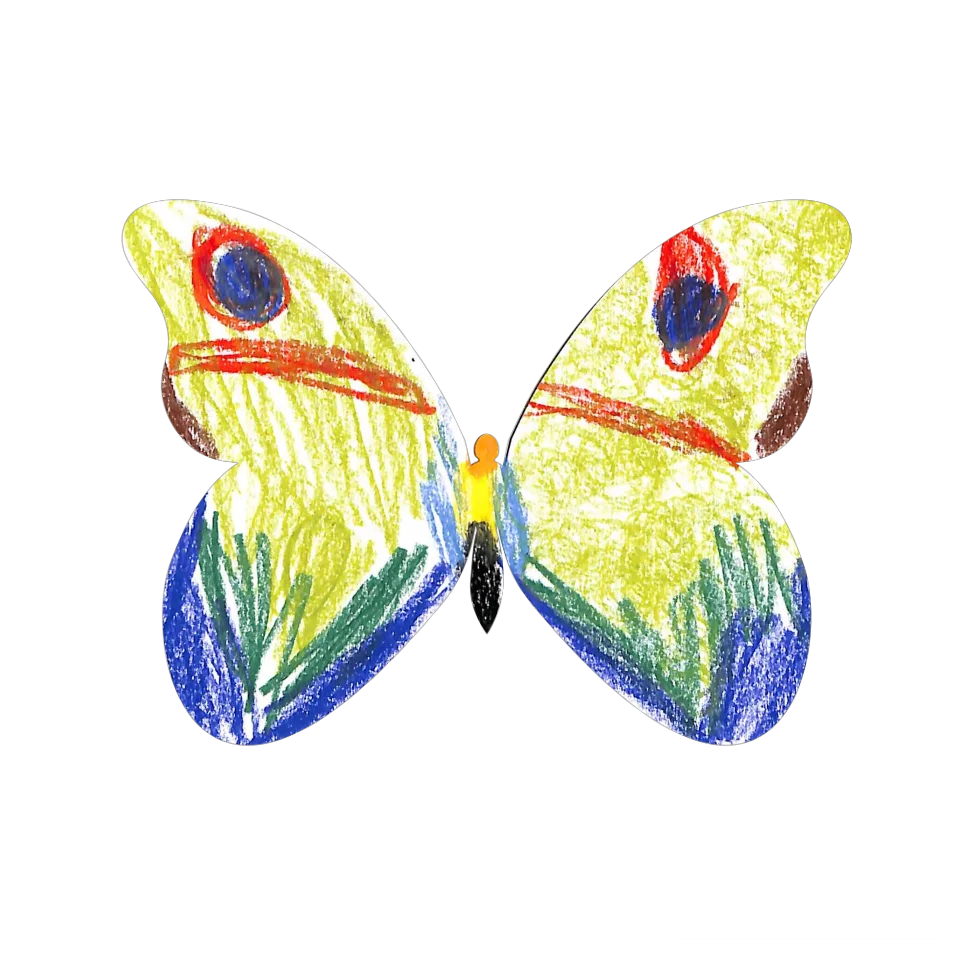 Original Butterfly Image