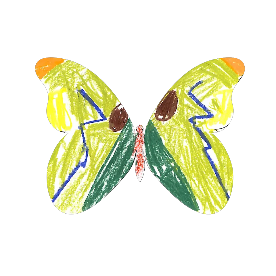Original Butterfly Image