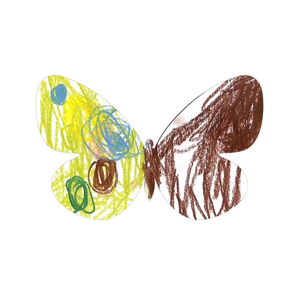 Original Butterfly Image