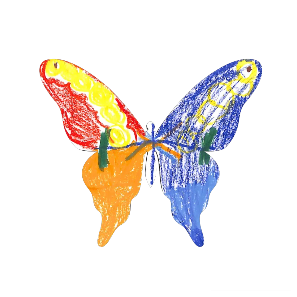 Original Butterfly Image