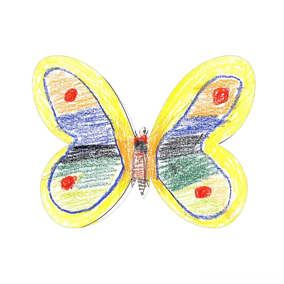 Original Butterfly Image