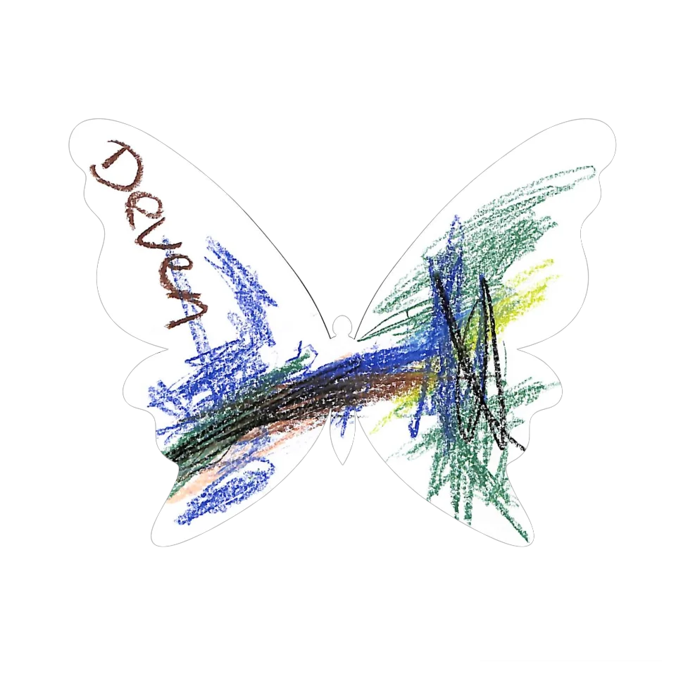 Original Butterfly Image