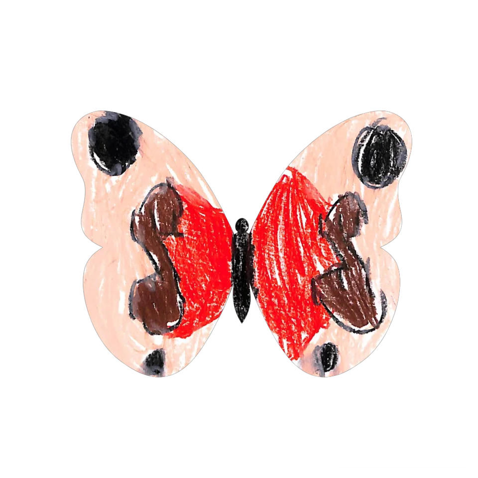 Original Butterfly Image