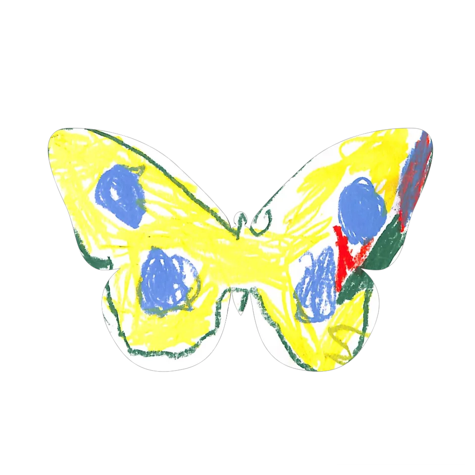 Original Butterfly Image