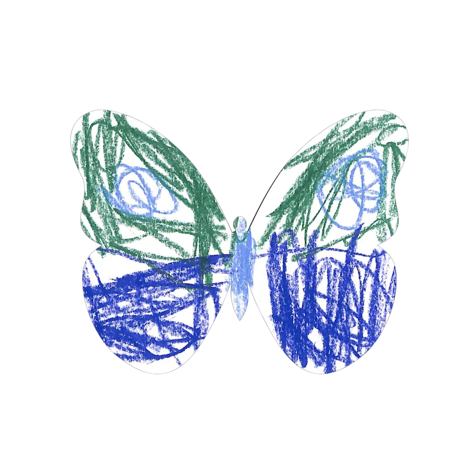 Original Butterfly Image