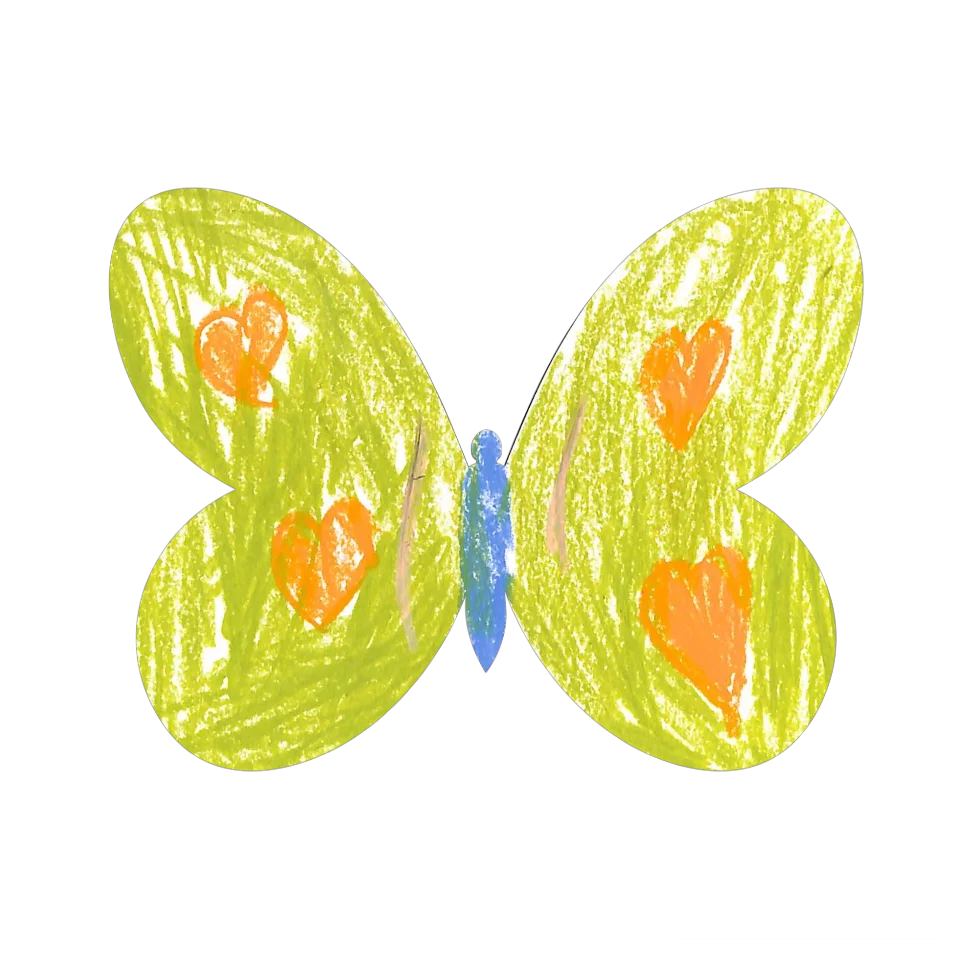 Original Butterfly Image