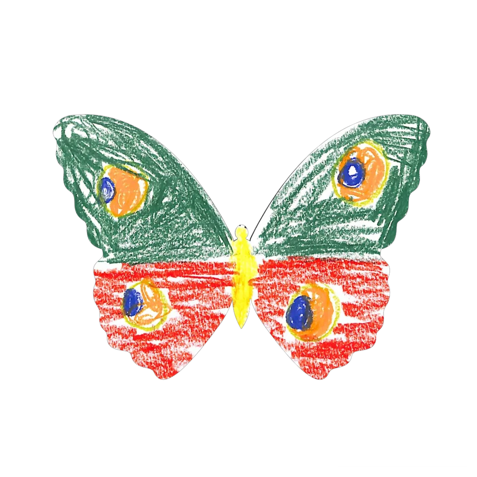 Original Butterfly Image