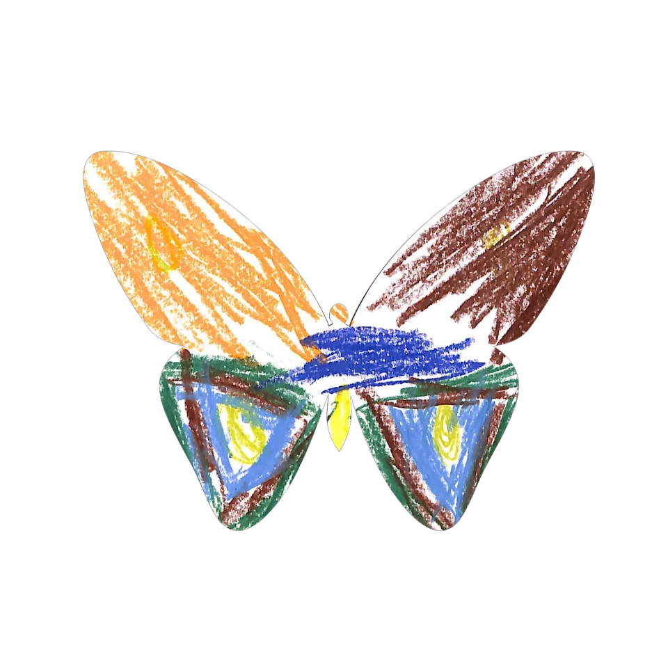 Original Butterfly Image