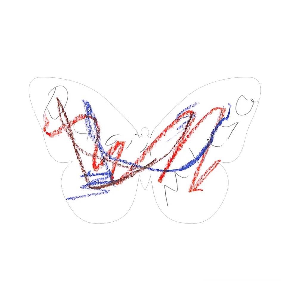 Original Butterfly Image