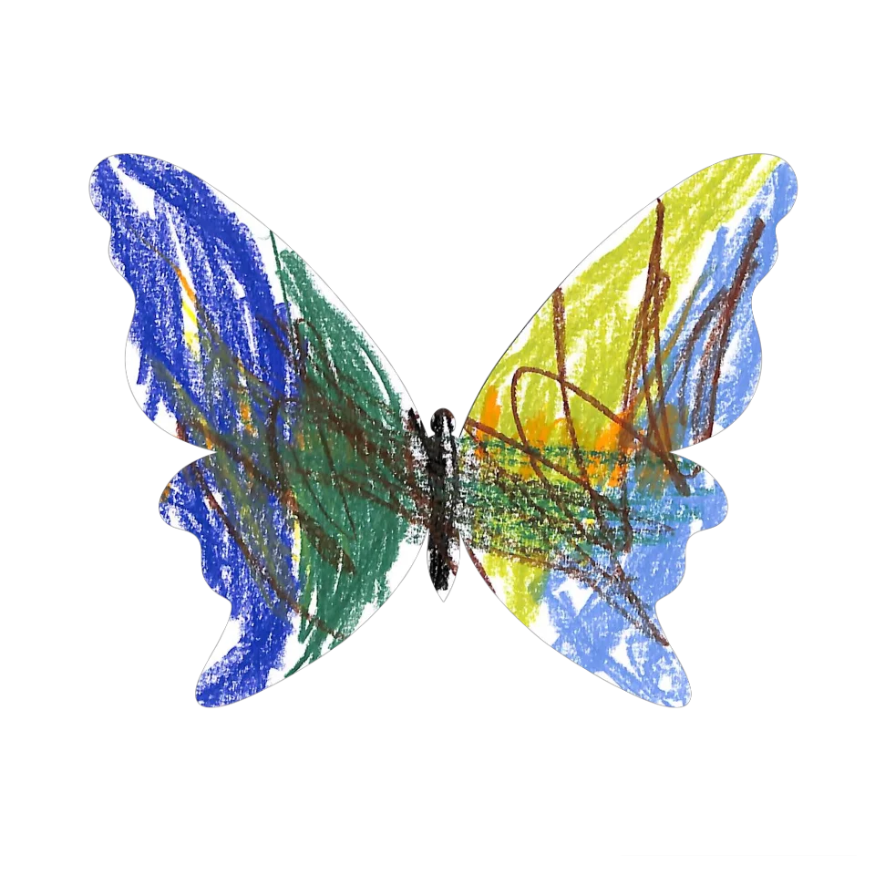 Original Butterfly Image