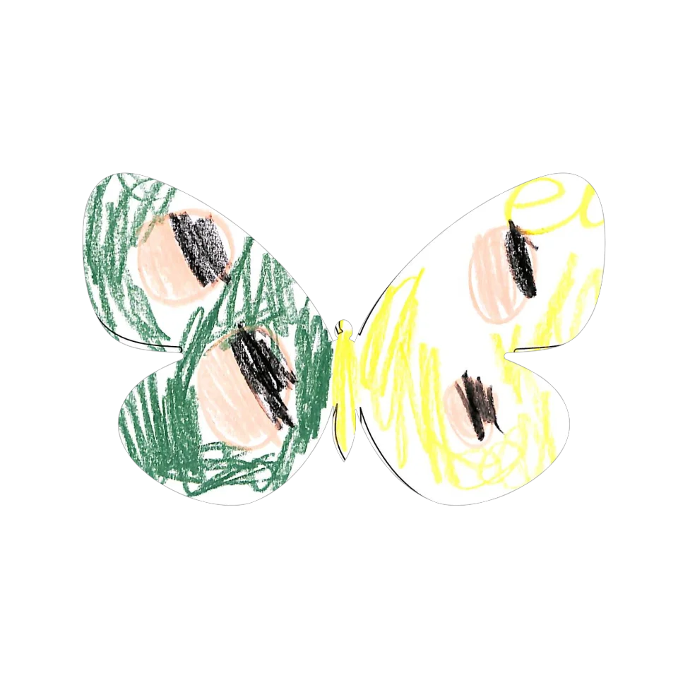 Original Butterfly Image
